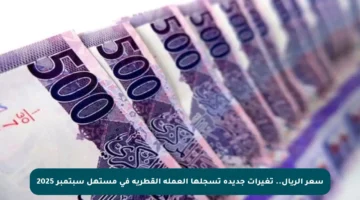 سعر الريال.. تغيرات جديدة تسجلها العملة القطرية في مستهل سبتمبر 2025
